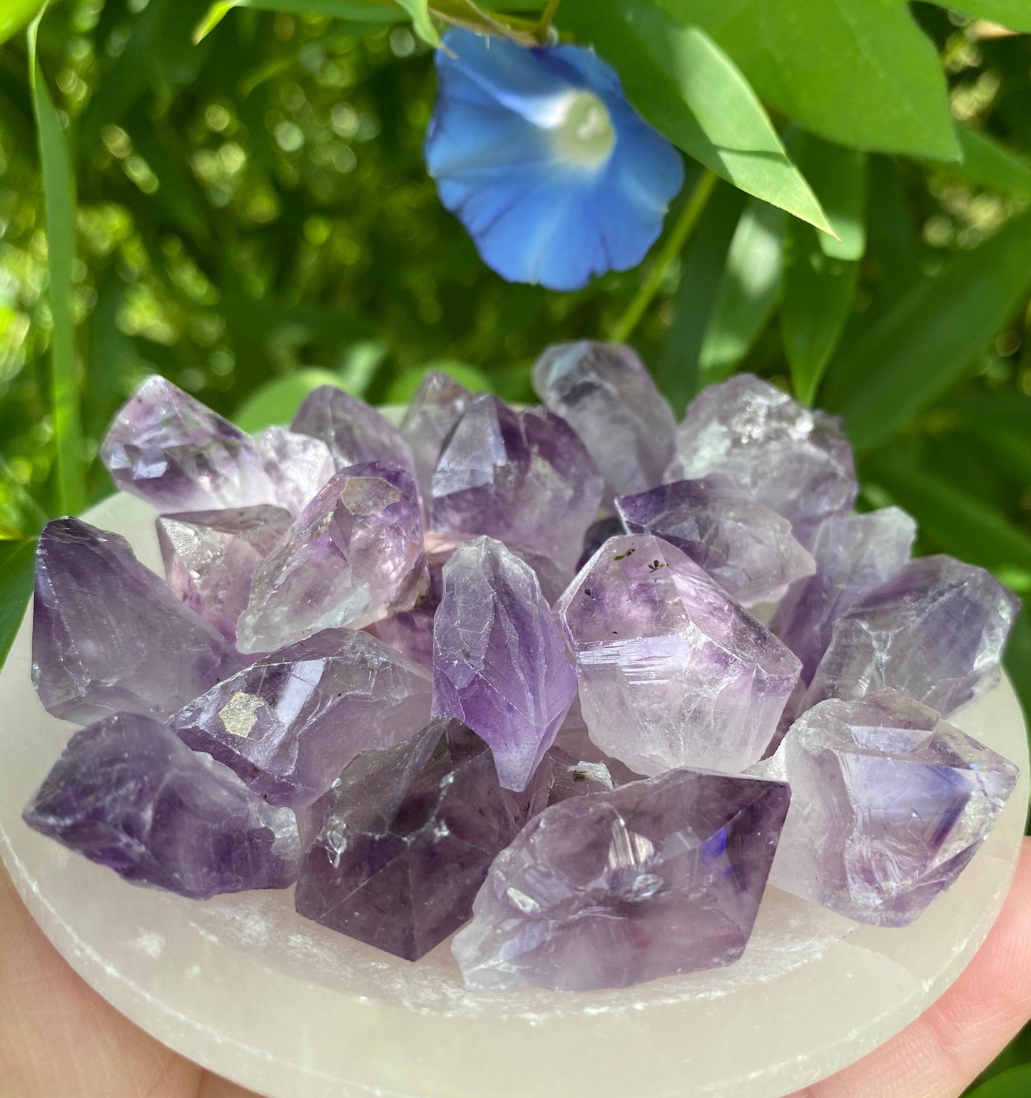 Amethyst-Amethyst pieces and points-raw amethyst stone-Healing crystals and stones-amethyst jewelry-healing gemstones