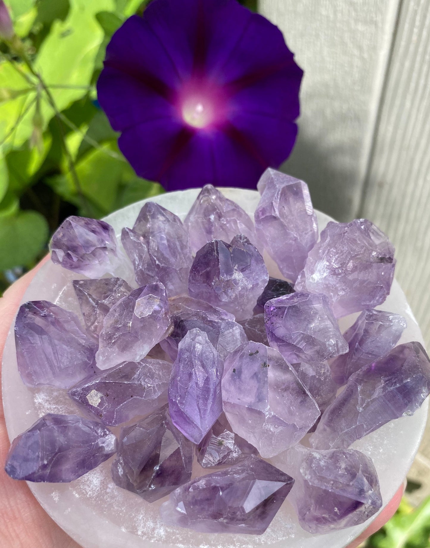 Amethyst-Amethyst pieces and points-raw amethyst stone-Healing crystals and stones-amethyst jewelry-healing gemstones